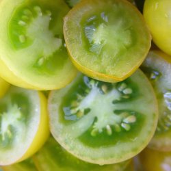 Tomat fr�. Green grape. Solanum lycopersicum. Ca. 10 Fr�