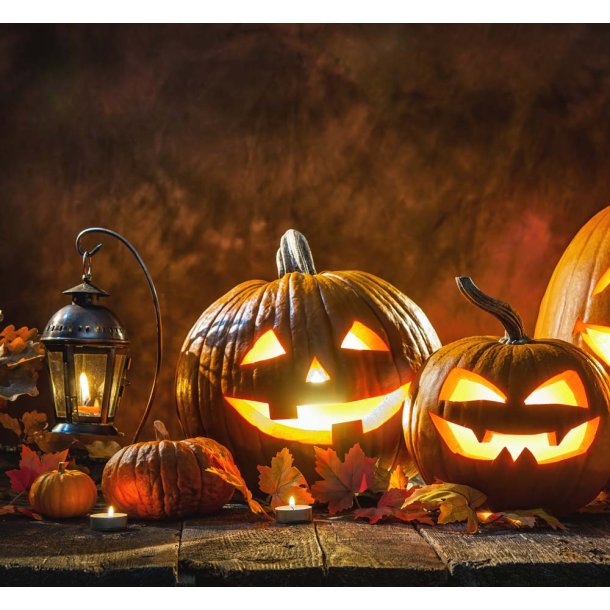 Grskar. Halloween. Cucurbita pepo. Fr