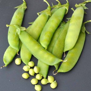 �rter fr�. Hendriks. Pisum sativum. Ca. 420 Fr�.
