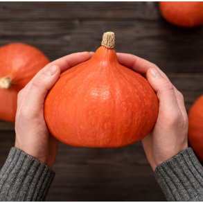 Grskar. Hokkaido / Uchiki kuri. Curcurbita maxima. kologisk. Fr.