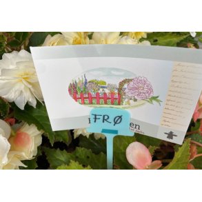 Planteskilte. Til skrift og fr�pose. 10 stk