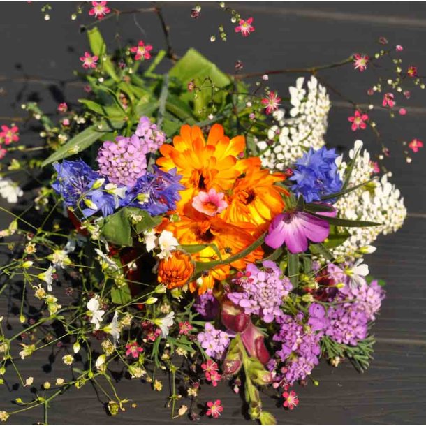 Blomsterblanding fr. Den hurtige. Fr