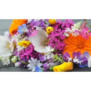 Blomsterblanding. De sm vilde. Fr