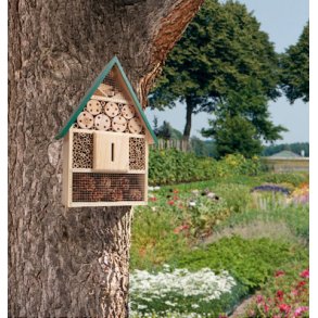 Insekthotel. Hus