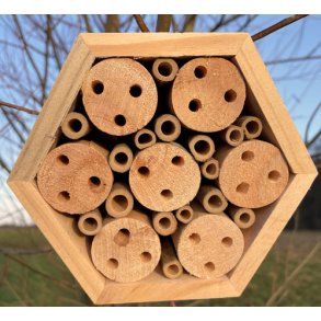 Insekthotel. Sekskantet bikube