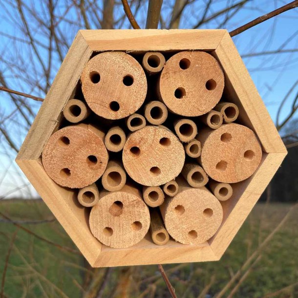 Insekthotel. Sekskantet bikube