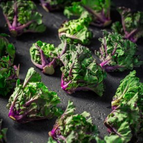 Blomsterk�l fr�. Kalettes. Mixed. Brassica oleracea var. gemmifera. F1. Ca. 18 Fr�