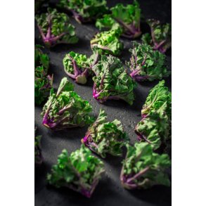 Blomsterkl. Kalettes. Mixed. Brassica oleracea var. gemmifera. F1. Fr