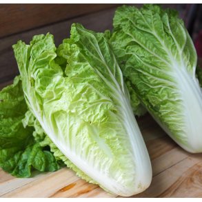 Kinakl. Hilton. Brassica pekinensis. Fr