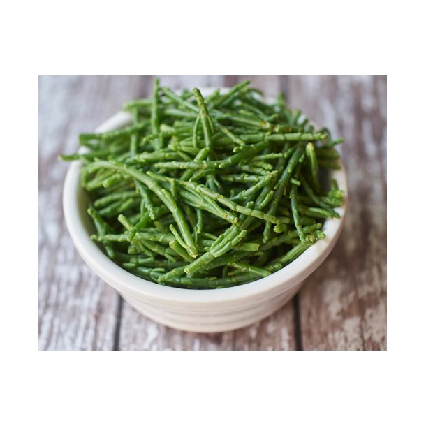 Kveller /Salturt. Salicornia europaea. Fr.