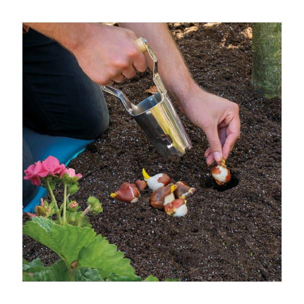 L�gl�gger. H�ndholdt. Tr�h�ndtag