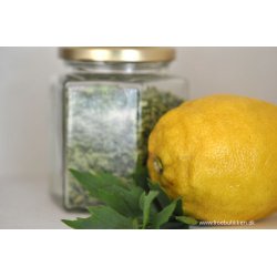 Lvstikke. Levisticum officinalis. Fr.