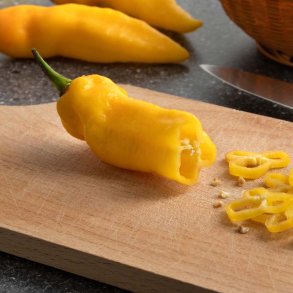 Chili fr�. Madame Jeanette. Capsicum chinense. Ca. 10 fr�