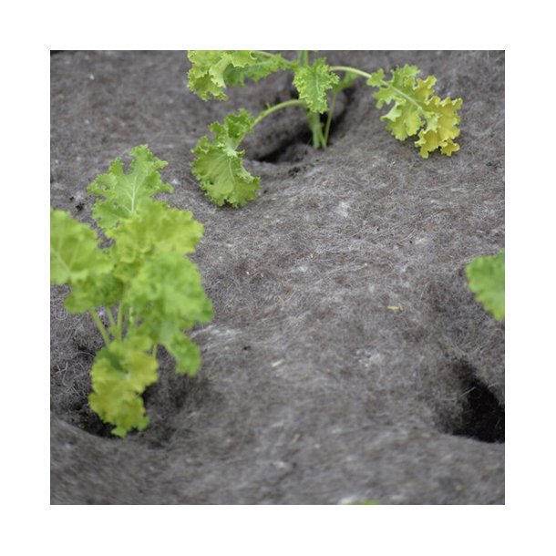 Fiberdug. Uld