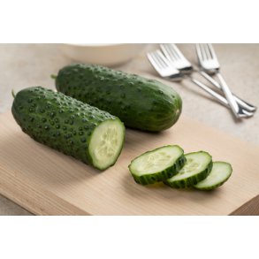 Agurk. Marketmore. Cucumis sativus. kologisk. Fr.