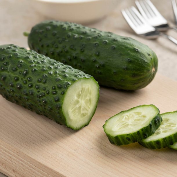 Agurk fr�. Marketmore. Cucumis sativus. �kologisk. Ca. 35 Fr�.