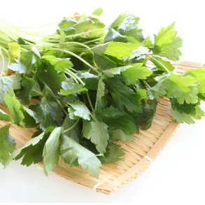 Mitsuba. Japansk vild persille. Cryptotaenia japonica. Fr