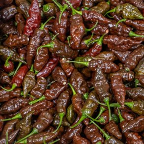 Chili fr�. Black Naga. Capsicum chinense. Ca. 10 Fr�