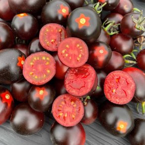 Tomat fr�. Nightshade. Solanum lycopersicum. F1. Ca. 5 Fr�
