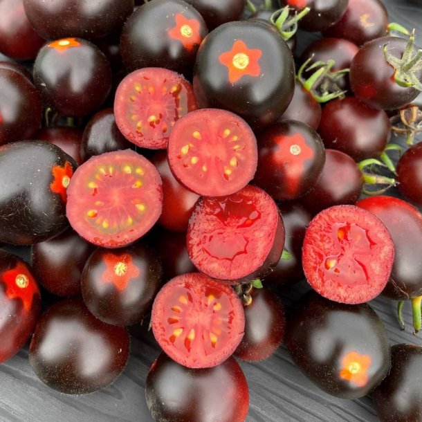 Tomat fr�. Nightshade. Solanum lycopersicum. F1. Ca. 5 Fr�