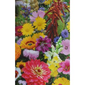 Blomsterblanding. Tiltrkker bier og sommerfugle. kologisk. Fr.
