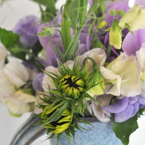 �rteblomster fr�. Spencer. Old times. Lathyrus odoratus. Ca. 55 Fr�.