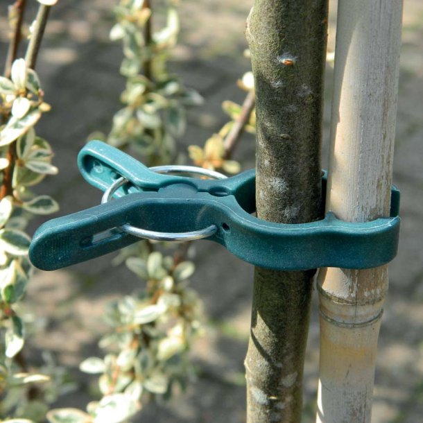 Planteclips. Store