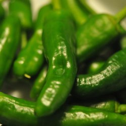 Chili. Padron.  Capsicum annuum. kologisk. Fr.