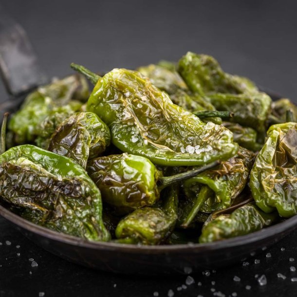 Chili. Padron.  Capsicum annuum. kologisk. Fr.