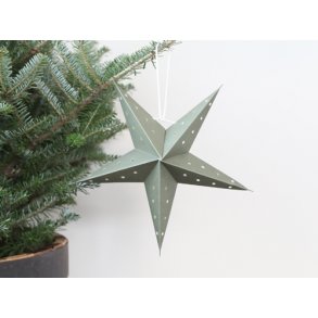 Julestjerne. 22 cm.