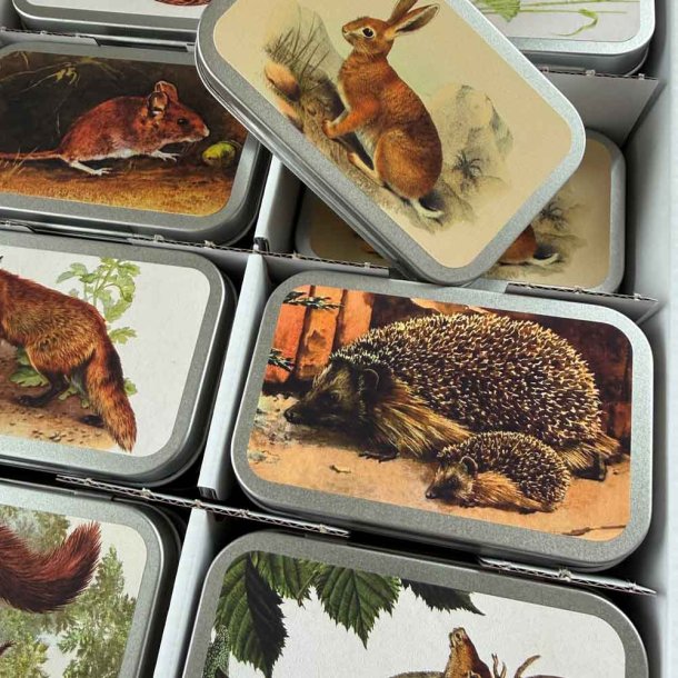 �ske med pastiller. Naturens dyr. Bl�b�rsmag