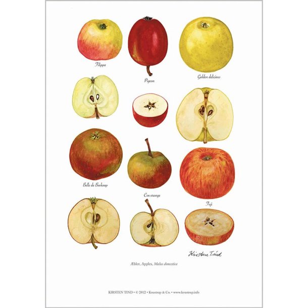 Plakat. �blesorter