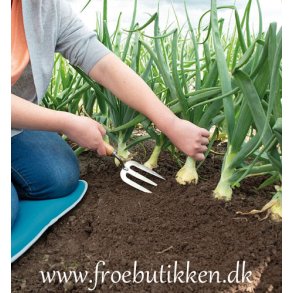 Plantegaffel. Hndholdt. Sogo