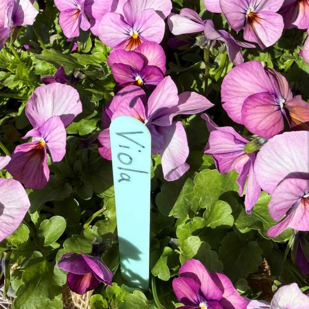 Planteskilte. 12,5 cm. 50 stk.