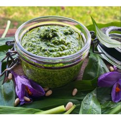 Ramslg. Allium ursinum.  Fr.