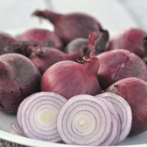 L�g fr�. Red Baron. Allium cepa. Ca. 400 �kologiske fr�