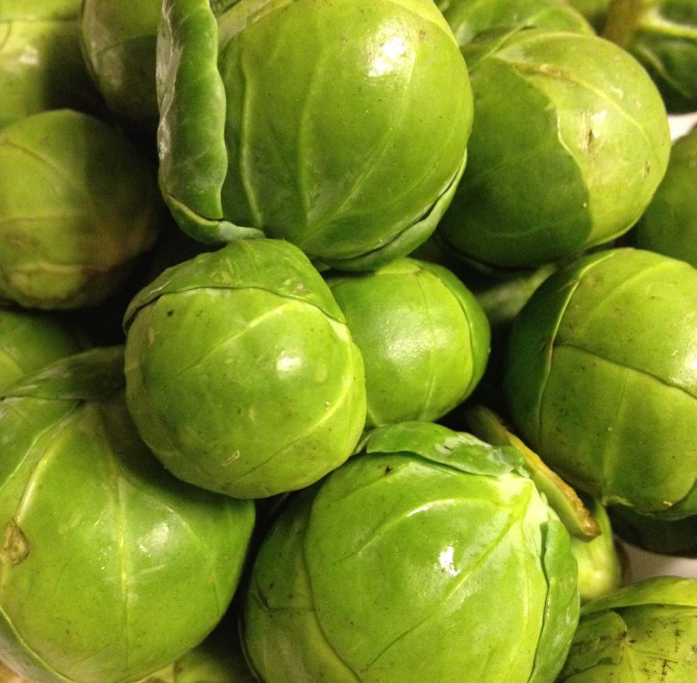 Medium sen rosenkål