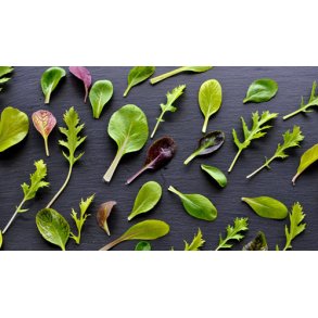 Salat. Asian mixed. Fr.