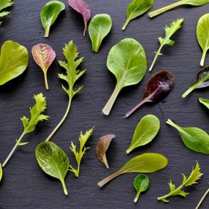 Salat fr�. Asian mixed. Ca. 2300 Fr�.