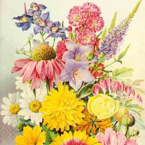 Servietter. Lyse blomster