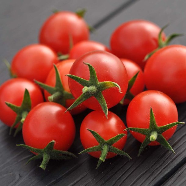 Tomat fr�. Sugar Gloss. Solanum lycopersicum. Ca. 5 fr�. F1