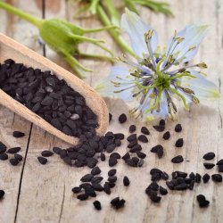 Sortkommen fr�. Nigella sativa. Ca. 4000 Fr�