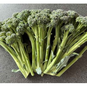 Broccoli. Montebello. Sprouting. F1. Fr