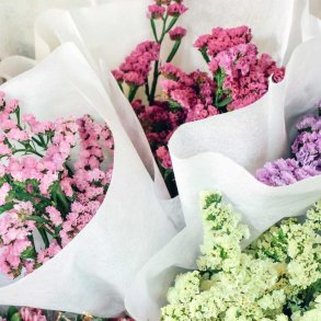 Hindeb�ger fr�/ Staticer. Mix. Limonium sinuatum. Ca. 275 Fr�.