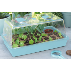 Spirekasse med lg. Sogo. Stor