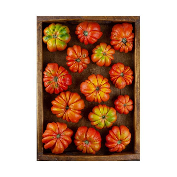 Tomat. Costoluto florentino. Solanum lycopersicum. Fr