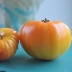 Tomat fr�. Ananas / Pineapple. Solanum lycopersicum.  Ca. 10 Fr�.