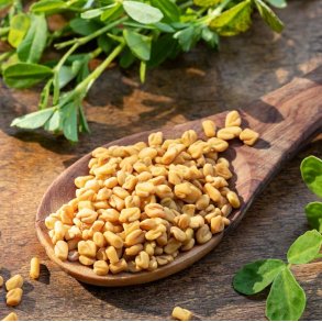 Bukkehorn. Trigonella foenum-graecum. Fr