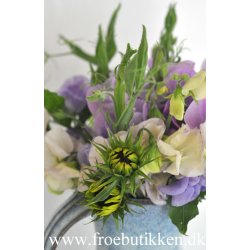 rteblomster. Old times. Lathyrus odoratus. Fr.