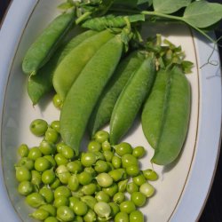 �rter fr�. Douce Provence. Vinter�rter. Pisum sativum. Ca. 150 Fr�